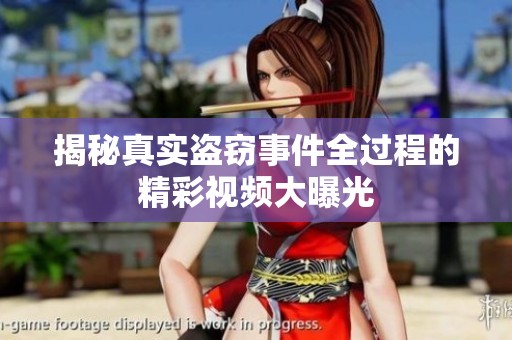 揭秘真實盜竊事件全過程的精彩視頻大曝光