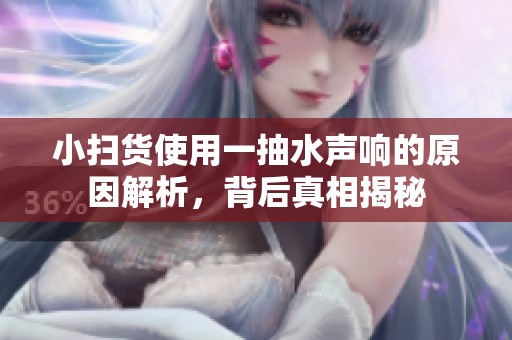 小掃貨使用一抽水聲響的原因解析，背后真相揭秘
