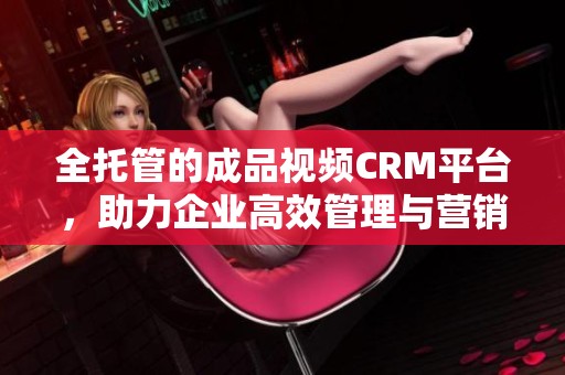 全托管的成品視頻CRM平臺(tái)，助力企業(yè)高效管理與營銷