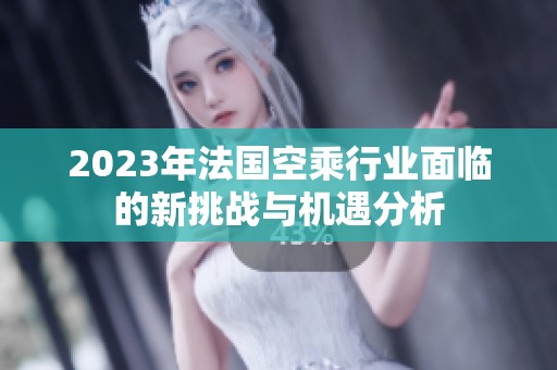 2023年法國空乘行業(yè)面臨的新挑戰(zhàn)與機(jī)遇分析