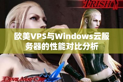 歐美VPS與Windows云服務(wù)器的性能對比分析