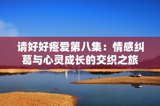 請(qǐng)好好疼愛(ài)第八集：情感糾葛與心靈成長(zhǎng)的交織之旅