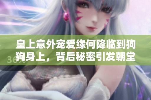皇上意外寵愛(ài)緣何降臨到狗狗身上，背后秘密引發(fā)朝堂波瀾
