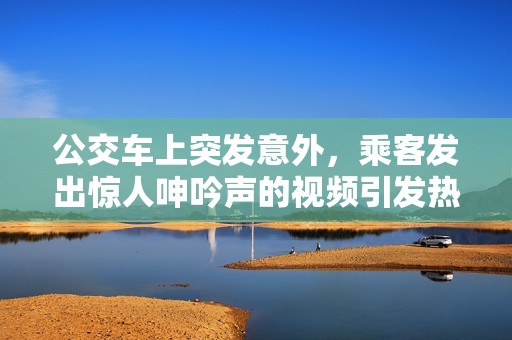 公交車上突發(fā)意外，乘客發(fā)出驚人呻吟聲的視頻引發(fā)熱議