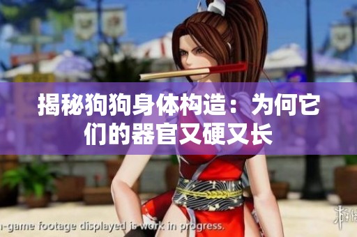 揭秘狗狗身體構(gòu)造：為何它們的器官又硬又長(zhǎng)