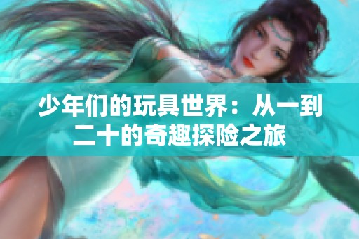 少年們的玩具世界：從一到二十的奇趣探險(xiǎn)之旅