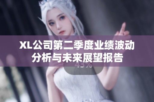 XL公司第二季度業(yè)績波動分析與未來展望報(bào)告