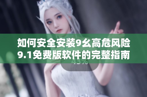 如何安全安裝9幺高危風險9.1免費版軟件的完整指南