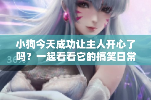 小狗今天成功讓主人開心了嗎？一起看看它的搞笑日常！