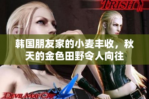 韓國朋友家的小麥豐收，秋天的金色田野令人向往