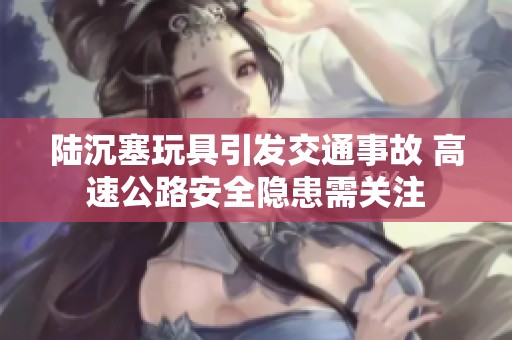 陸沉塞玩具引發(fā)交通事故 高速公路安全隱患需關(guān)注