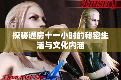探秘通房十一小時(shí)的秘密生活與文化內(nèi)涵