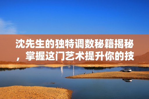 沈先生的獨(dú)特調(diào)數(shù)秘籍揭秘，掌握這門藝術(shù)提升你的技能