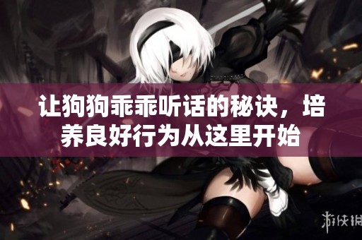 讓狗狗乖乖聽話的秘訣，培養(yǎng)良好行為從這里開始