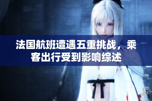 法國航班遭遇五重挑戰(zhàn)，乘客出行受到影響綜述