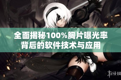全面揭秘100%胸片曝光率背后的軟件技術(shù)與應(yīng)用
