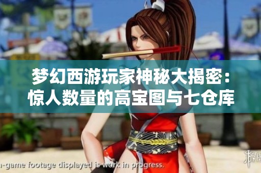 夢幻西游玩家神秘大揭密：驚人數(shù)量的高寶圖與七倉庫花豆背后的故事