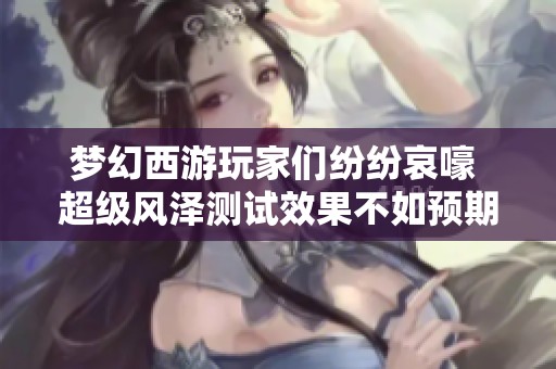 夢幻西游玩家們紛紛哀嚎 超級風澤測試效果不如預期導致嚴重虧損