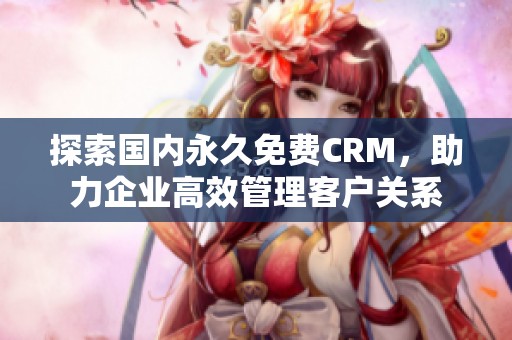 探索國內(nèi)永久免費CRM，助力企業(yè)高效管理客戶關(guān)系