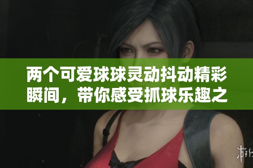 兩個(gè)可愛(ài)球球靈動(dòng)抖動(dòng)精彩瞬間，帶你感受抓球樂(lè)趣之旅