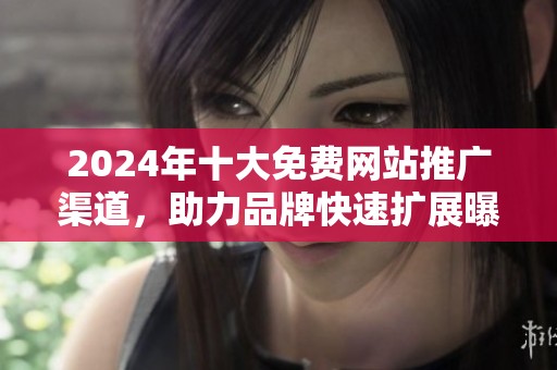 2024年十大免費(fèi)網(wǎng)站推廣渠道，助力品牌快速擴(kuò)展曝光率