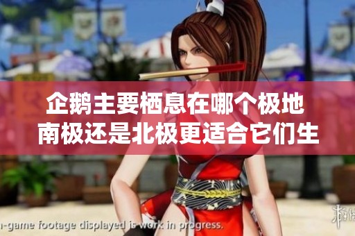 企鵝主要棲息在哪個極地 南極還是北極更適合它們生活