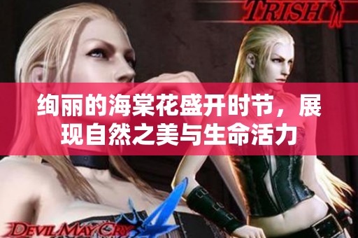絢麗的海棠花盛開(kāi)時(shí)節(jié)，展現(xiàn)自然之美與生命活力