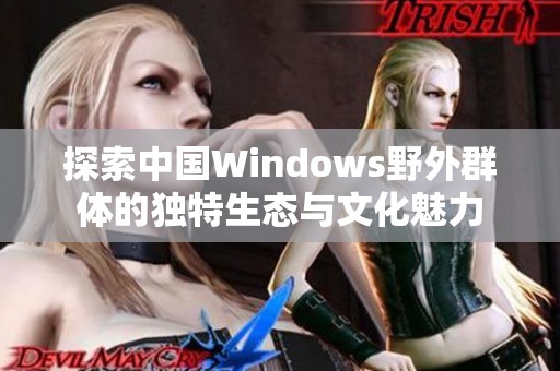 探索中國Windows野外群體的獨特生態(tài)與文化魅力
