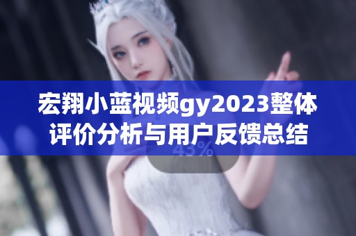 宏翔小藍(lán)視頻gy2023整體評價分析與用戶反饋總結(jié)