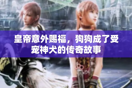皇帝意外賜福，狗狗成了受寵神犬的傳奇故事