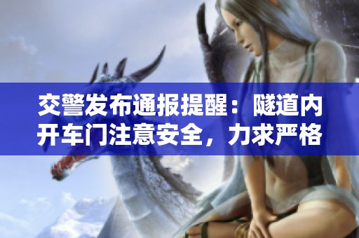 交警發(fā)布通報(bào)提醒：隧道內(nèi)開(kāi)車(chē)門(mén)注意安全，力求嚴(yán)格執(zhí)行管理措施