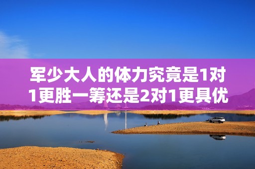 軍少大人的體力究竟是1對1更勝一籌還是2對1更具優(yōu)勢