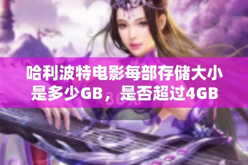 哈利波特電影每部存儲(chǔ)大小是多少GB，是否超過(guò)4GB呢