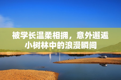 被學(xué)長(zhǎng)溫柔相擁，意外邂逅小樹(shù)林中的浪漫瞬間