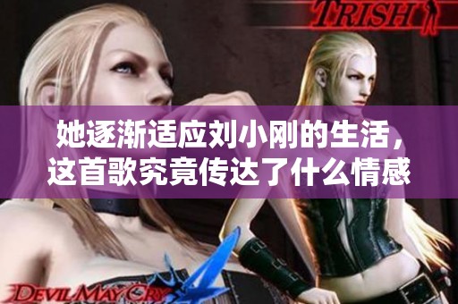 她逐漸適應(yīng)劉小剛的生活，這首歌究竟傳達(dá)了什么情感