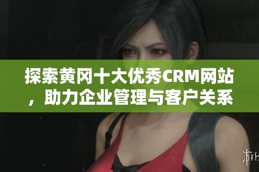 探索黃岡十大優(yōu)秀CRM網(wǎng)站，助力企業(yè)管理與客戶關(guān)系提升