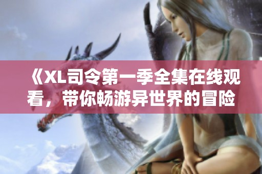 《XL司令第一季全集在線觀看，帶你暢游異世界的冒險(xiǎn)之旅》