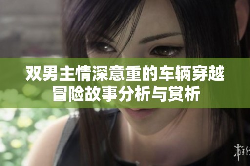 雙男主情深意重的車(chē)輛穿越冒險(xiǎn)故事分析與賞析