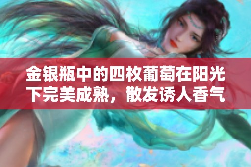 金銀瓶中的四枚葡萄在陽光下完美成熟，散發(fā)誘人香氣