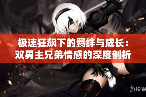 極速狂飆下的羈絆與成長：雙男主兄弟情感的深度剖析