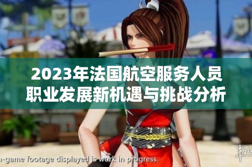 2023年法國(guó)航空服務(wù)人員職業(yè)發(fā)展新機(jī)遇與挑戰(zhàn)分析