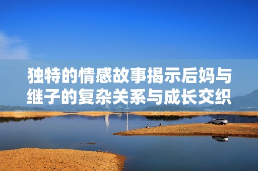 獨(dú)特的情感故事揭示后媽與繼子的復(fù)雜關(guān)系與成長交織的繡感情節(jié)