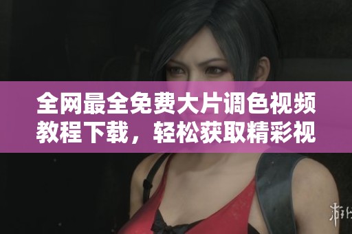 全網(wǎng)最全免費(fèi)大片調(diào)色視頻教程下載，輕松獲取精彩視頻資源