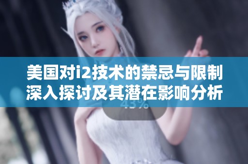 美國對i2技術(shù)的禁忌與限制深入探討及其潛在影響分析
