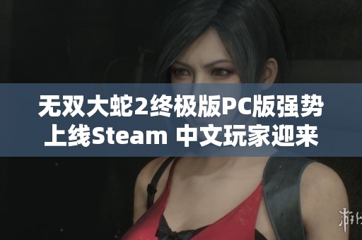 無雙大蛇2終極版PC版強勢上線Steam 中文玩家迎來狂潮