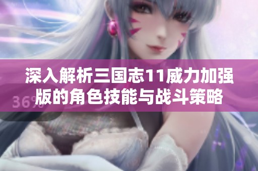 深入解析三國志11威力加強(qiáng)版的角色技能與戰(zhàn)斗策略