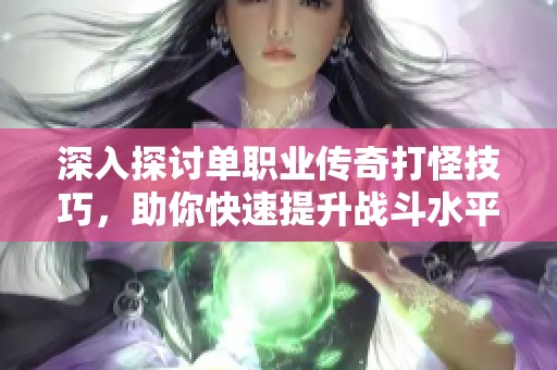深入探討單職業(yè)傳奇打怪技巧，助你快速提升戰(zhàn)斗水平