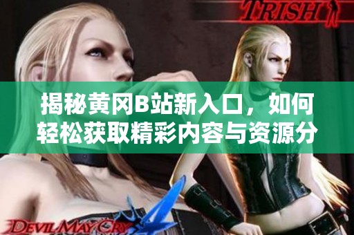 揭秘黃岡B站新入口，如何輕松獲取精彩內(nèi)容與資源分享