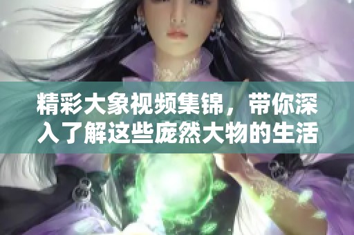 精彩大象視頻集錦，帶你深入了解這些龐然大物的生活與習(xí)性