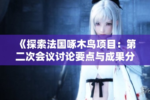《探索法國啄木鳥項目：第二次會議討論要點與成果分析》